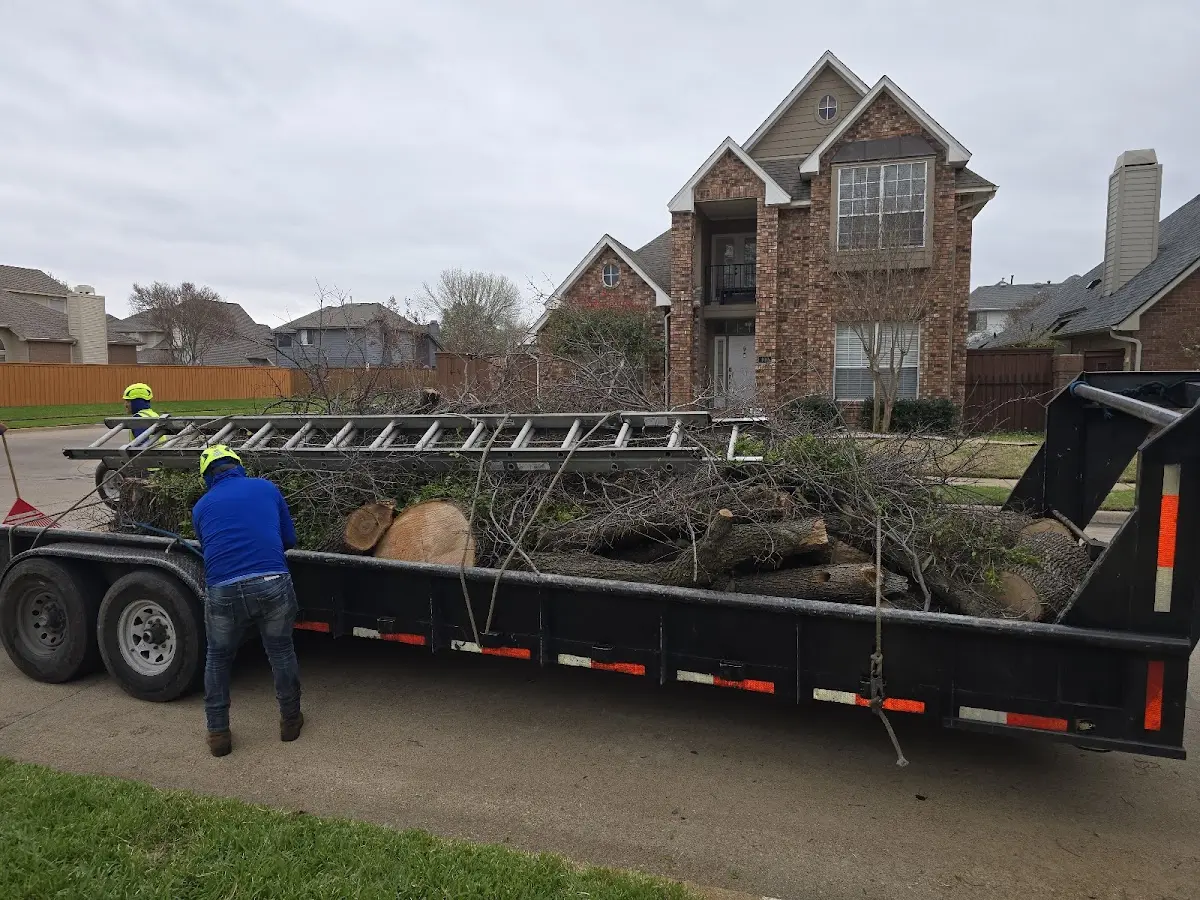 Expert Tree Fertilization with proper safety equipment in Flatwoods